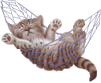 c est mon chat